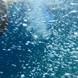 Meet your Posher, Vasily